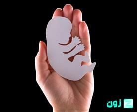 مرخصی زایمان و قوانین کاری مربوط به بارداری | Maternity-leave-rules